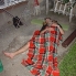 img00078.jpg