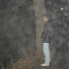 img00007.jpg