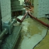img00003.jpg
