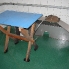 img00034.jpg